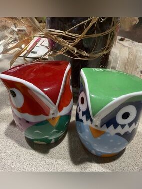 Multiple choice  Colorful Owl Ceramic Salt and Pepper Shakers - Red & Green NWT